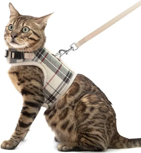 PUPTECK Juego de arnés y correa de malla suave para gatos, arnés acolchado para mascotas, a prueba de escape, para gatos, perros pequeños, conejos,