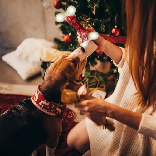 Miniatura 6 de DEBAK Juguetes para perros para masticadores agresivos, juguetes para perros para mantenerlos ocupados, huesos de perro duraderos y fuertes