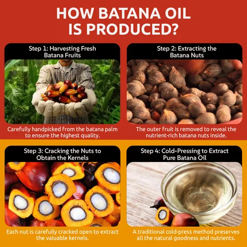 Miniatura 5 de Aceite de batana crudo prémium para el crecimiento del cabello (5 onzas líquidas) – Dr. Sebi 100% puro y aceite de crecimiento del cabello Batana