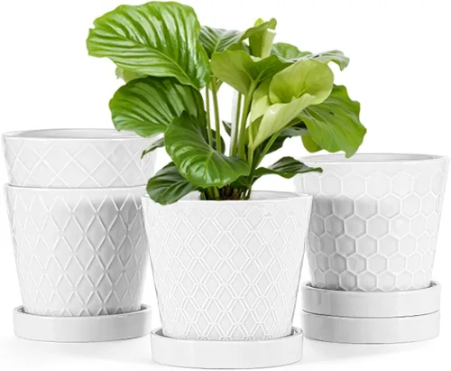 Miniatura 10 de Macetas de cerámica EFISPSS, macetas de 5 pulgadas con agujeros de drenaje y bandeja de cerámica, diseño en relieve para plantas de flores, set