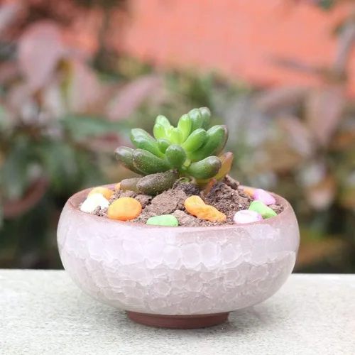 Miniatura 4 de Macetero para suculentas, 12 piezas de cerámica de 2.5 pulgadas, para plantas de cactus, maceta, maceta, contenedor/maceta