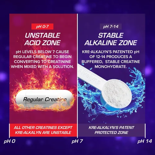 Miniatura 5 de EFX Sports Kre-Alkalyn EFX Powder Suplemento en polvo de monohidrato de creatina con pH correcto Fuerza, crecimiento muscular y rendimiento