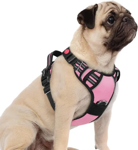 Miniatura 9 de rabbitgoo Arnés para perro de tamaño pequeño, chaleco para perro sin tirones con 3 hebillas, arnés ajustable y acolchado suave para mascotas con asa