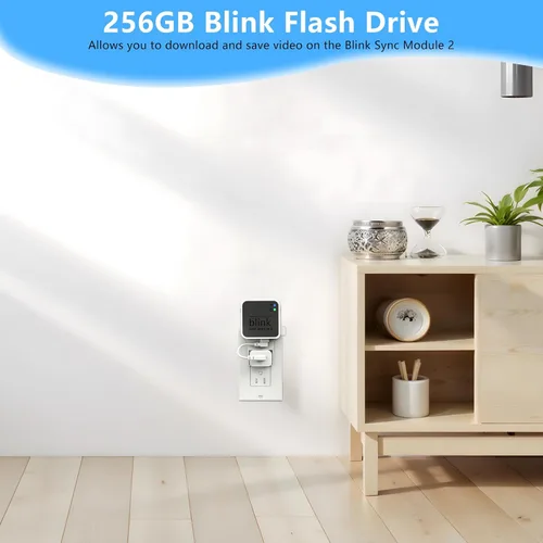 Miniatura 4 de Unidad flash USB Blink de 256 GB, con soporte de pared con toma de corriente para Blink Sync Module 2, almacenamiento USB Blink y soporte de cámara