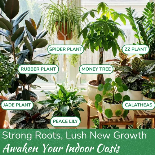 Miniatura 5 de Abono para Plantas de Interior de Houseplant Resource Center - Fertilizante Líquido Orgánico para Pothos, Lirio de Paz, Monstera, Cactus y Más - 8 oz