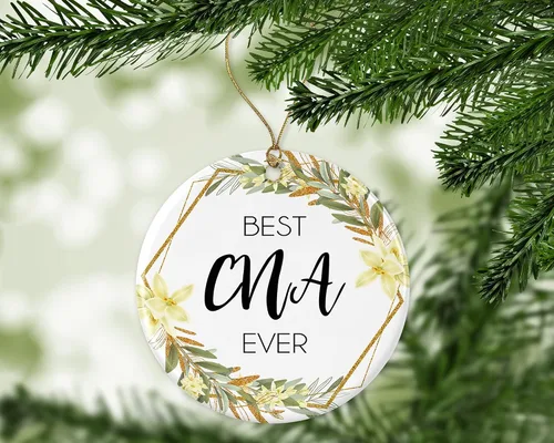 Miniatura 3 de Adorno de Navidad de asistente de enfermería certificado, regalo de adorno de Navidad para CNA, el mejor CNA del mundo, el mejor CNA de la historia