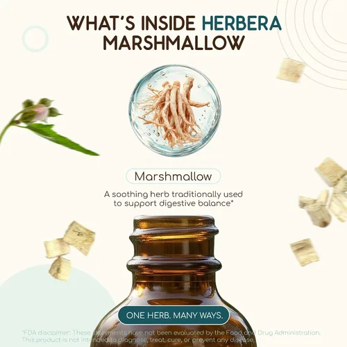 Miniatura 4 de HerbEra Marshmallow B60 - Tintura de extracto de hierbas sin alcohol, gotas líquidas concentradas de malvavisco natural (Althaea Officinalis)