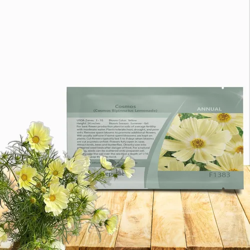 Outsidepride Lemonade Cosmos Bipinnatus Seeds – 50 piezas anuales, fáciles de cultivar y tolerantes a la sequía, semillas de flores para plantar con