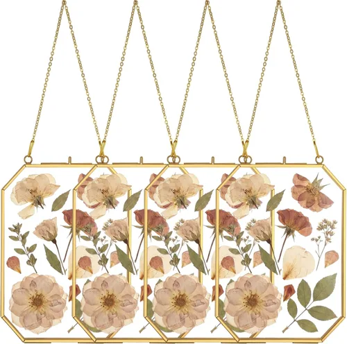 Miniatura 8 de Treela 4 marcos de flores prensadas de vidrio de 4 x 6 pulgadas, marcos de vidrio dobles colgantes con cadena de metal octágono de latón para mesa