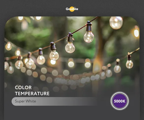 Miniatura 2 de Goodlite Bombilla LED G-83446 de 5000 K, 7 W, A19, 850 lúmenes, equivalente a 60 W, base E26, color blanco superregulable