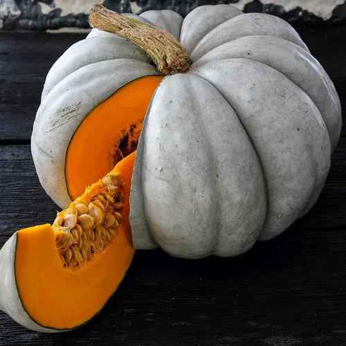 Miniatura 2 de Jarrahdale - Semillas de calabaza orgánicas para plantar, 0.14 onzas, 20 semillas, orgánicas, sin OMG, semillas de jardinería agrícola y vegetal