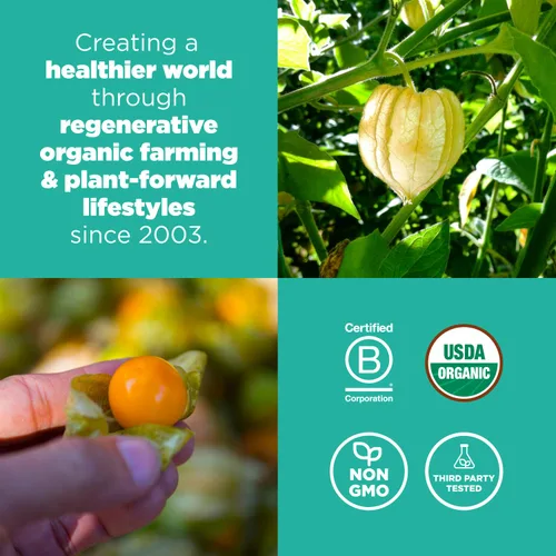 Miniatura 4 de Navitas Organics Goldenberries - Para aperitivos saludables, cobertura, hornear y más - Frutas secas - Sin azúcar añadido ni sulfitos - USDA