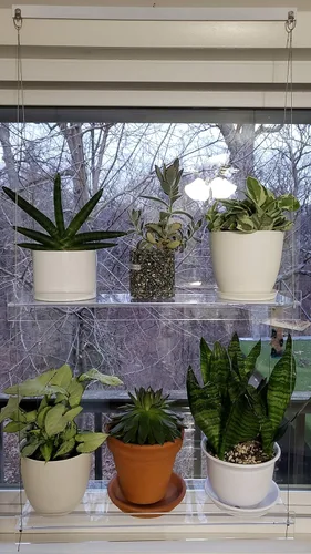 Miniatura 2 de Estantes colgantes de acrílico para ventanas (34 pulgadas de ancho, 2 estantes - 35 pulgadas de alto)