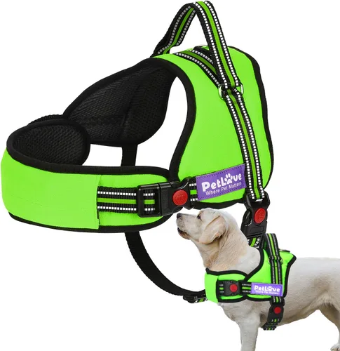 Arnés para perros, PetLove suave correa, sin tirones, arnés para perros con todos los tipos de tamaño, Verde