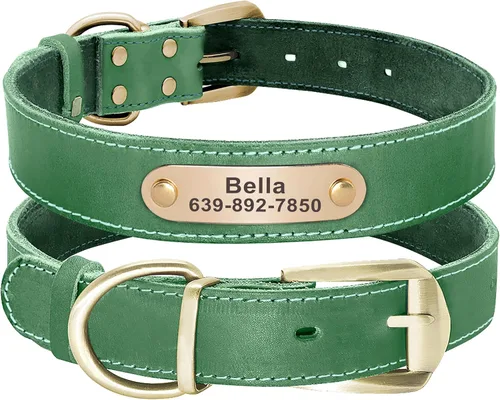 Didog Collares de perro de cuero genuino con placa de identificación grabada, collar de perro de cuero suave personalizado con etiqueta de Verde