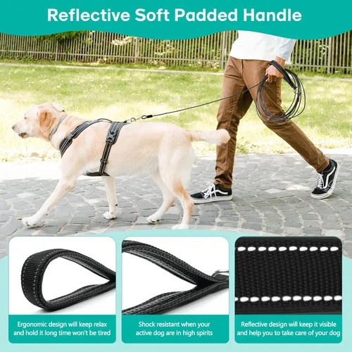 Miniatura 3 de Correa larga para perro a prueba de mordidas, cable de amarre para perros resistente de 10/20/30/50 pies con mosquetón, correas para perros medianos