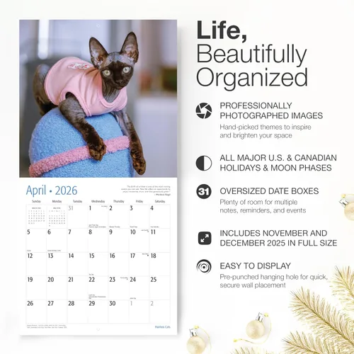 Miniatura 2 de RED EMBER Hairless Cats - Calendario de pared 2026 de 12 meses, 12 x 24 pulgadas, abierto, papel grueso y resistente, para regalo, calendario 2026