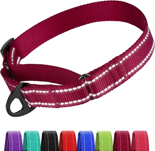 Miniatura 22 de CollarDirect Martingale - Collar de nailon resistente para perros pequeños, medianos y grandes [nailon, estampado, aguamarina, L, 15-20 pulgadas)