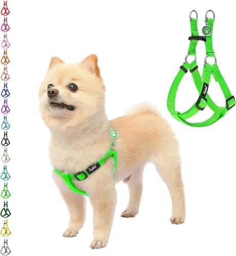 Miniatura 8 de PUPTECK arnés para perro para no jalar, reflejante, ajustable, básico, de nailon, chaleco para cachorro, para caminar al aire libre con etiqueta