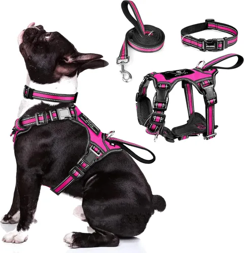 Miniatura 20 de WINSEE - Juego de arnés, collar y correa para mascotas, todo en uno, arnés reflectante para perros sin tirones con hebillas ajustables para Rojo