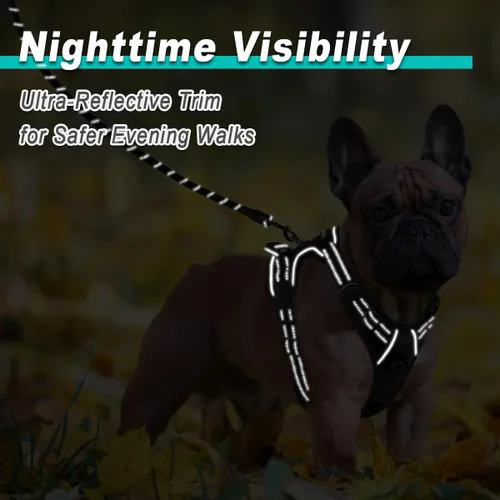 Miniatura 5 de BARKBAY Arnés para perro sin tirones para perros pequeños, ajustable, reflectante, cómodo, sin estrangulamiento, resistente, perfecto