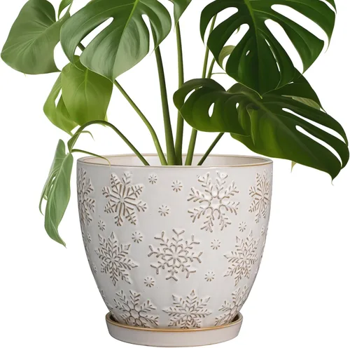 Miniatura 22 de MPotTo Maceta de 6.9 pulgadas con orificio de drenaje y platillo de cerámica para plantas de interior, maceta para orquídeas y suculentas