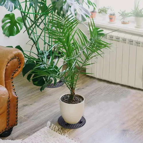 Miniatura 5 de 6 soportes para plantas en maceta, 12 pulgadas, elevador de maceta perfecto para interiores y exteriores, jardín, flores para evitar la pudrición