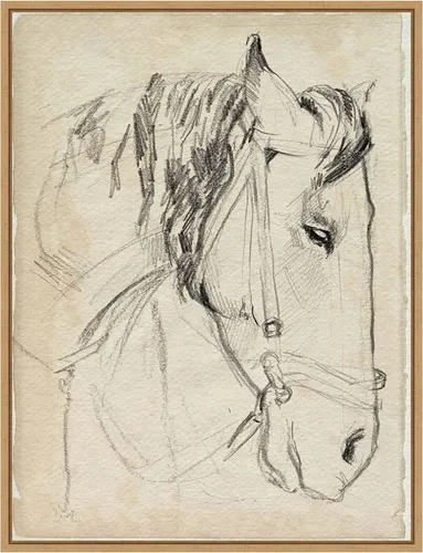 Miniatura 9 de Amanti Art Lienzo enmarcado para pared, diseño de caballo en brida, 24 x 18 pulgadas, boceto I de Jennifer Paxton Parker, lienzo enmarcado