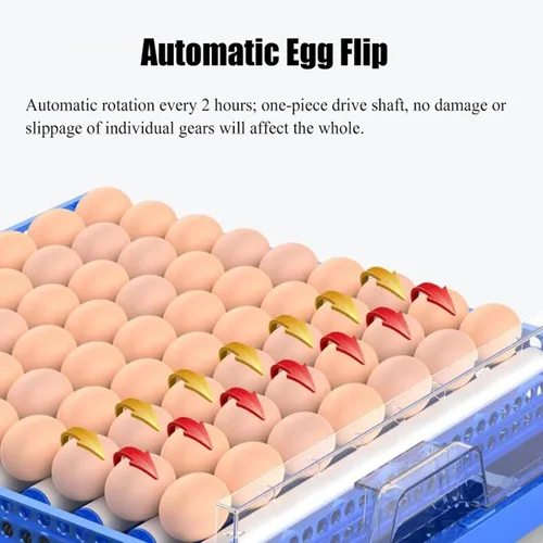 Miniatura 2 de Incubadoras automáticas de huevos de gallina, máquina para criar aves de corral, girado automático de huevos LED de alta eficiencia y control