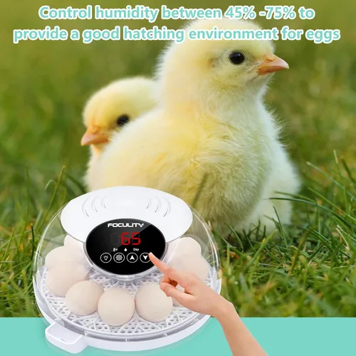 Miniatura 8 de Incubadora de huevos para incubar pollos, capacidad para 12 huevos, girador automático de huevos con temperatura, pantalla de humedad, vela