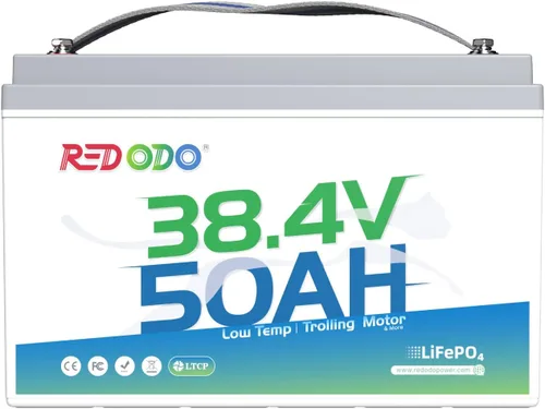 Miniatura 30 de Redodo Paquete de 4 baterías LiFePO4 de 12 V 100 Ah, baterías de ciclo profundo con BMS de 100 A, baterías del grupo 31 para 10 años de vida útil