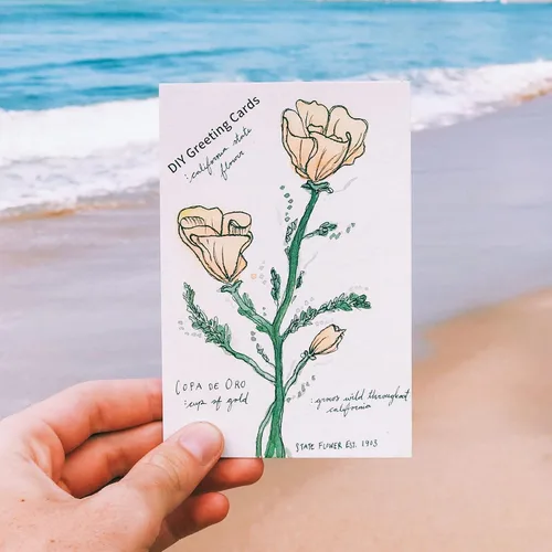 Miniatura 6 de Tarjetas de lugar para la configuración de la mesa - 50 piezas de tarjetas de lugar blancas en blanco para bodas, tiendas de nombre, tarjetas