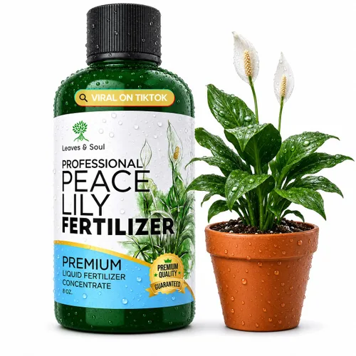 Miniatura 13 de Dracaena profesional fertilizante líquido 3-1-2 concentrado de 8 onzas, alimento líquido prémium para plantas de interior, fertilizante líquido