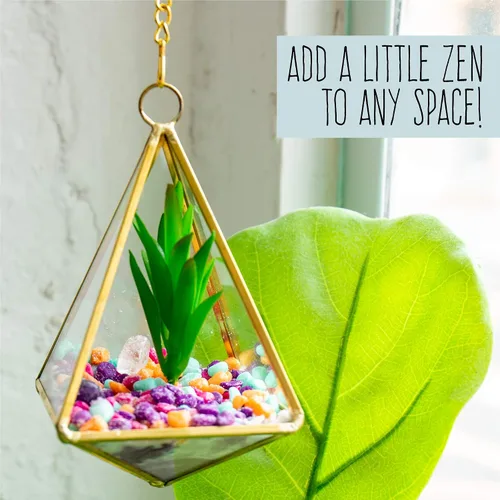 Miniatura 6 de Terrario de cristal de bricolaje