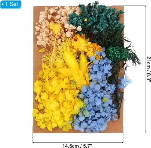 Miniatura 2 de PATIKIL Flores prensadas para manualidades, flores secas a granel, flores prensadas naturales, hojas para resina, jabón, vela, álbumes de recortes