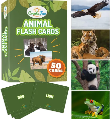 Miniatura 9 de 50 Tarjetas de sustantivos, tarjetas fotográficas educativas divertidas para construir vocabulario para niños, educación en casa, adultos, personas