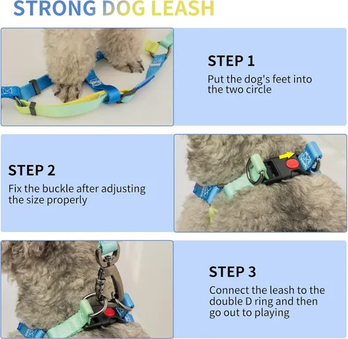 Miniatura 4 de AIITLE Arnés para perro, correa y collar sin tirones, collar básico ajustable con una correa resistente, hebilla súper resistente y anillo en D, Azul