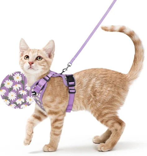 Miniatura 59 de rabbitgoo Cat Harness and Leash Set, Escape Proof Vest, XXS, Berry Pounce Soft Breathable Mesh, No-choke Adjustable Fit, Snap Buckles, Sturdy
