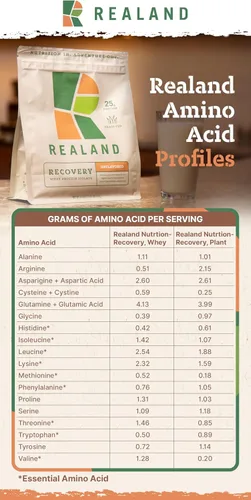 Miniatura 8 de Proteína vegetal vegana de chocolate aislado – Proteína de grano Fava en polvo para recuperación – 0.78 oz de proteína – 17 porciones