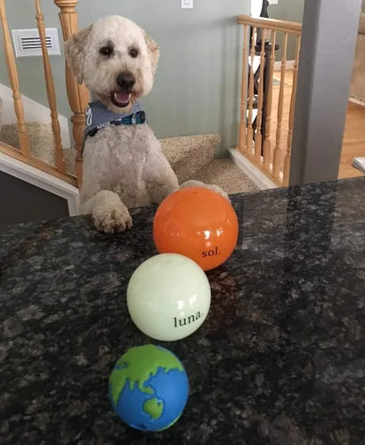 Miniatura 2 de Outward Hound by Planet Dog Orbee-Tuff Planet Ball - Juguete dispensador de golosinas azul/verde para perro, mediano