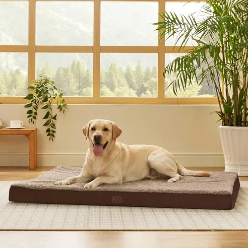 Miniatura 27 de Bedsure Camas para Perros Tamaño Grande - Cómodas Camas Planas para Mascotas con Funda Lavable Extraíble, Alfombrilla de Espuma Ortopédica