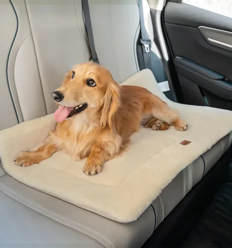 Miniatura 7 de Made4Pets Cojín Cama para Jaula de Perros Medianos y Grandes, Lavable y Reversible, Tapete Antideslizante para Perrera para un Sueño Acogedor, Cama