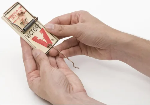 Miniatura 4 de Victor M023 - Trampa de metal para ratones con pedales, color marrón, 2 unidades (paquete de 1)