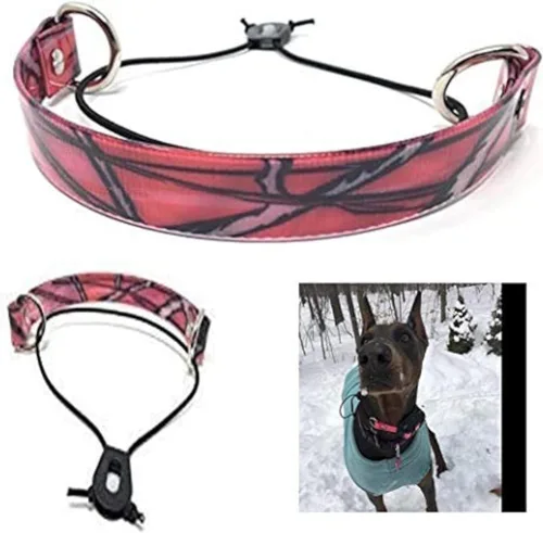 Miniatura 17 de Sparky Pet Co - Correa de repuesto ECollar - Collar de perro elástico - Impermeable - Ajustable - Bloqueo de rueda Nexus seguro - para entrenamiento
