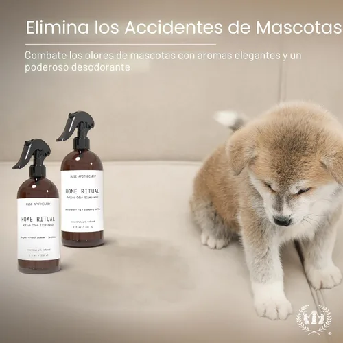 Miniatura 5 de Muse Apothecary Home Ritual - Spray eliminador de olores activo, desodorante en aerosol para muebles y eliminador de olores de baño para el hogar