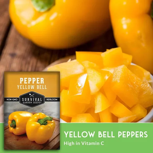 Miniatura 4 de Semillas de pimiento amarillo para plantar, pimientos dorados tradicionales para huertos domésticos, sin OMG, polinizado abierto, semillas de jardín