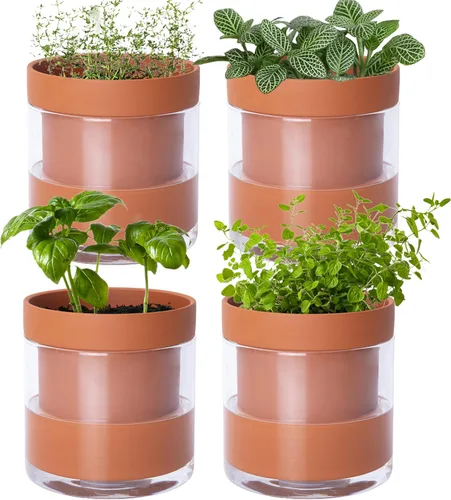 Miniatura 13 de Maceta Phoenix Vine de 6 Pulgadas con Riego Automático, Maceta de Arcilla Terracota con Reservario de Vidrio para Plantas de Interior, Hierbas