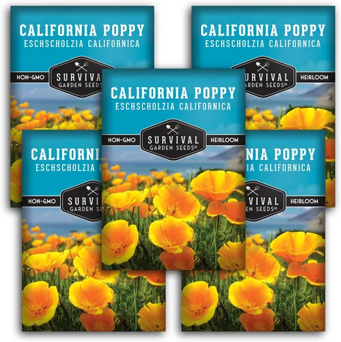 Survival Garden Seeds - Semillas de amapola de California para plantar - 5 paquetes con instrucciones para cultivar plantas Eschscholzia Californica