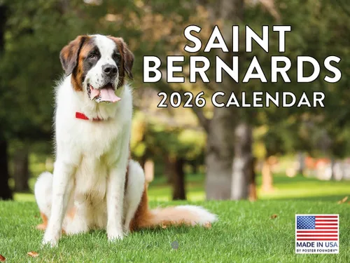 Miniatura 25 de Calendario de pared mensual 2025 Great Dane de 12 meses, fabricado en Estados Unidos