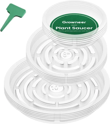 Miniatura 11 de GROWNEER 15 paquetes de platillos transparentes de 6 pulgadas para plantas, bandejas para macetas, con 15 etiquetas para plantas, platillos